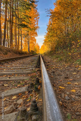 Abandoned railway tracks in autumn forest. Colorful autumn landscape with orange and yellow leaves. Fall forest or nature park