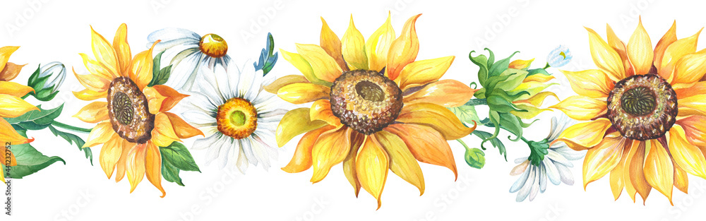 Fototapeta premium Sunflowers seamless border.Watercolor chamomile flowers and leaves on a white