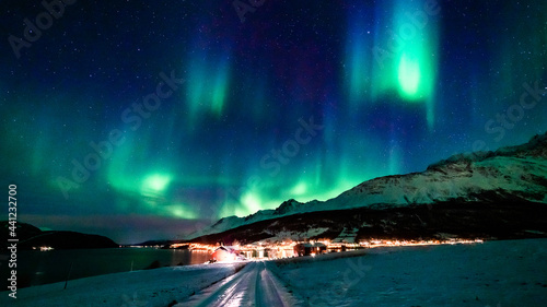 Nordlichter   ber den Lyngenalps  Troms  Norwegen. Aurora Borealis  die Lady tanzt   ber Lakselvbukt. Das wunderbare Schauspiel in gr  n  weiss  blau und pinker Farbe ist atemberaubend 