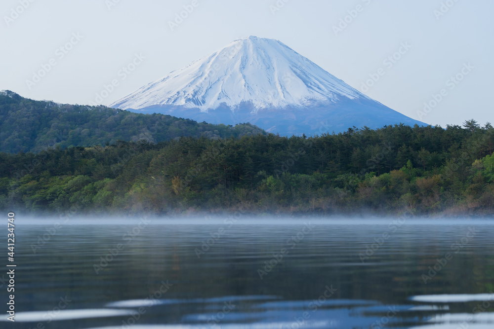 静寂 富士山(日本 - 山梨 - 西湖)