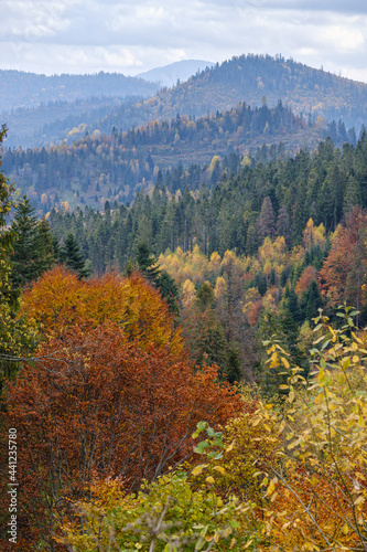 Morning foggy clouds in autumn mountain countryside. Ukraine, Carpathian Mountains, Transcarpathia.