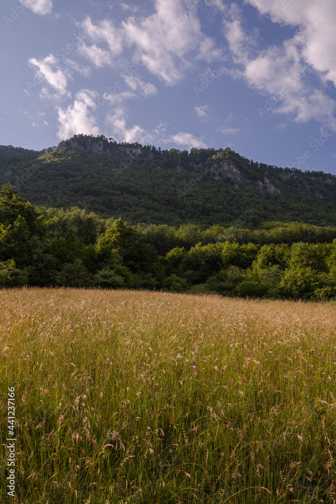 Sunny day in nature, meadow with tall grass, rocky mountains and clouds in the blue sky. 