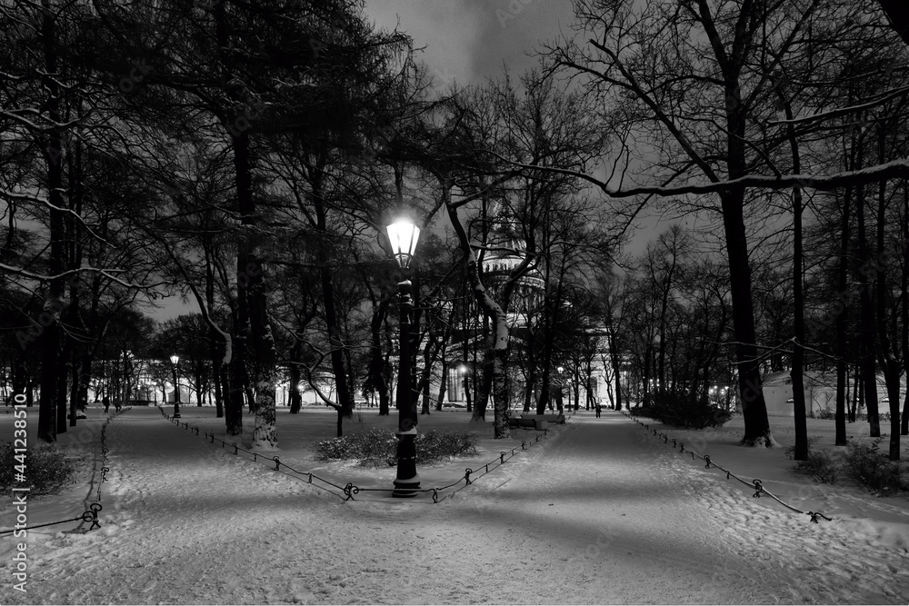 Landscapes of the parks of St. Petersburg in winter. Landscapes of the parks of St. Petersburg in winter.