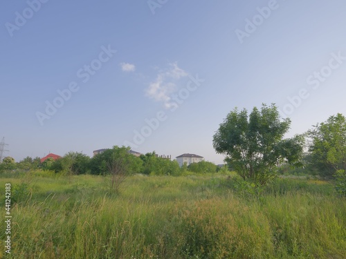 green landscape under blue sky with silver clouds