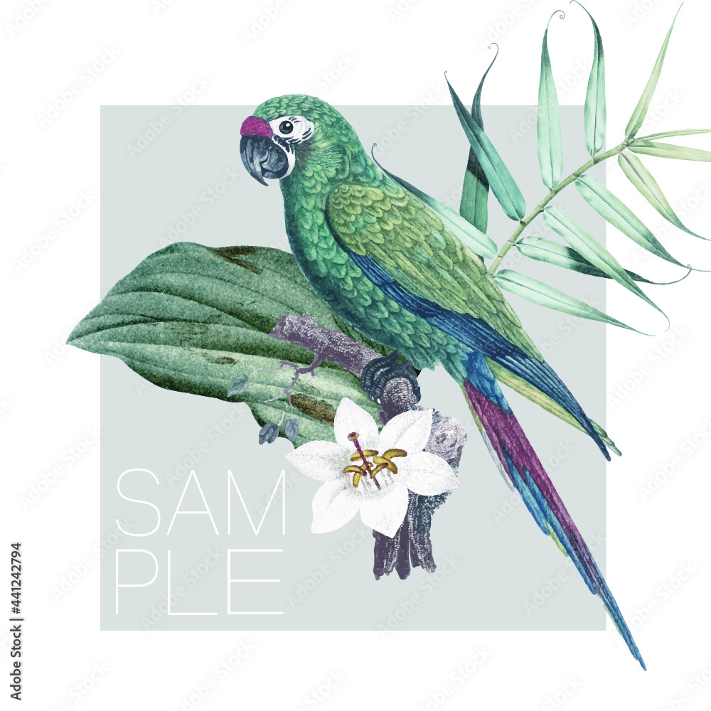 pássaro verde tropical