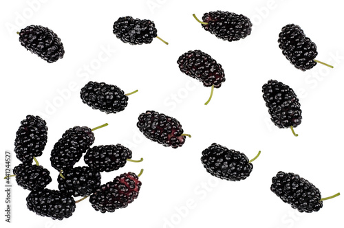 Mulberries isolated on white background