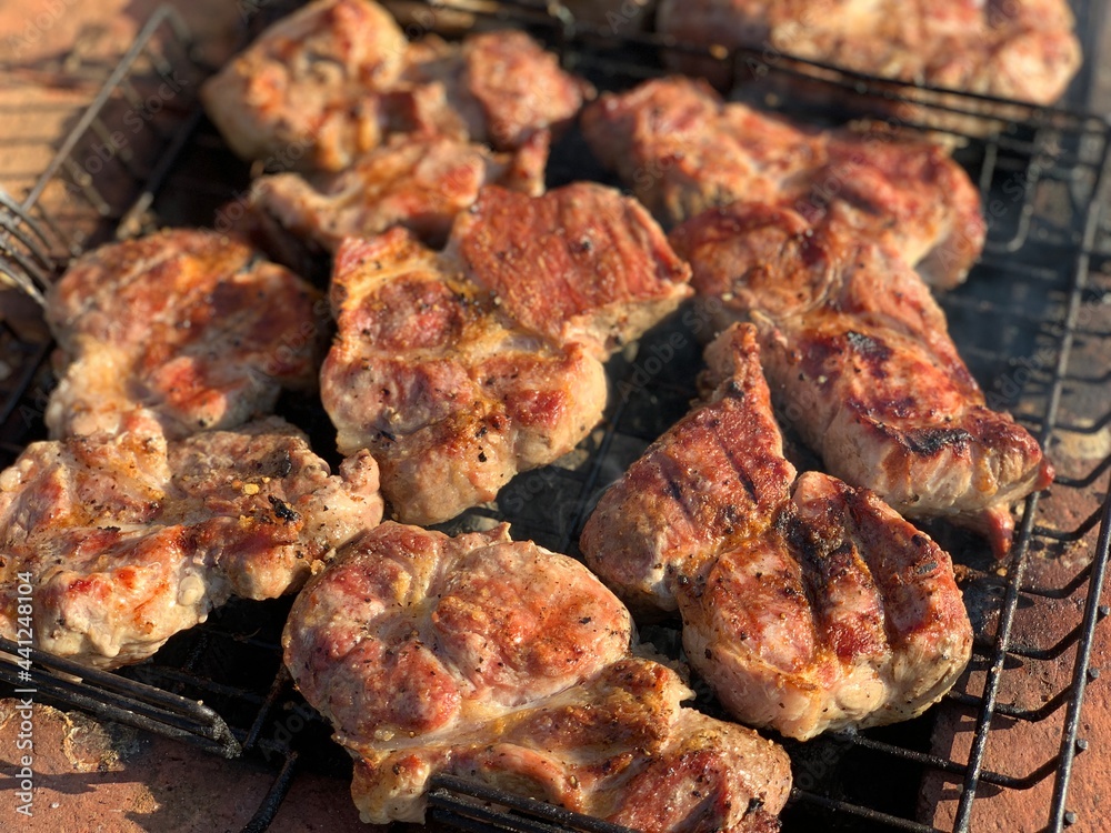 Grilled meat. The process of cooking meat on fire. Barbecue. Rest on weekends.