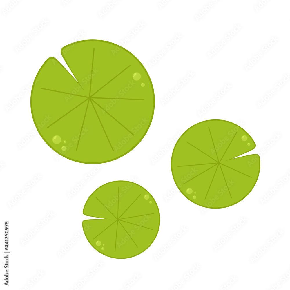 Lily pad vector. Lily cartoon vector on white background. Stock Vector |  Adobe Stock