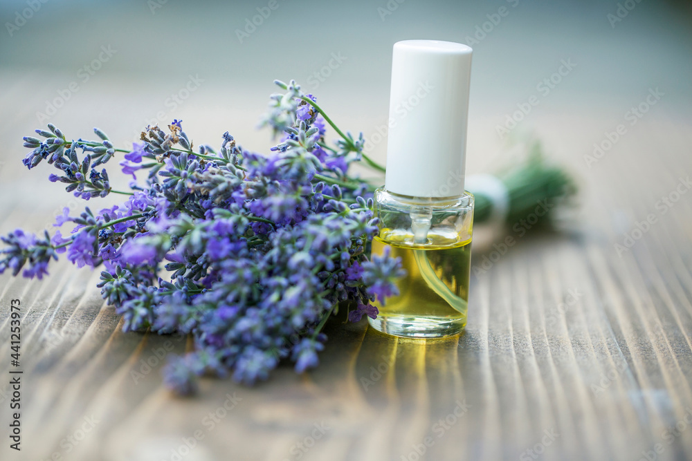 Bottle of Lavender essential oil with fresh lavender flowers on wooden table, aromatherapy spa massage concept. Lavendula oleum Bottle of Lavender essential oil with fresh lavender flowers on wooden table, aromatherapy spa massage concept. Lavendula oleum