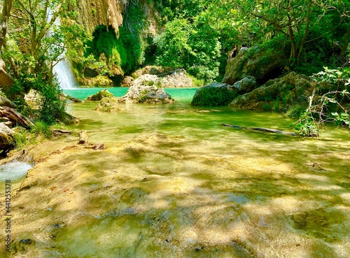 stream in the forest photo