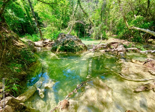 stream in the forest photo