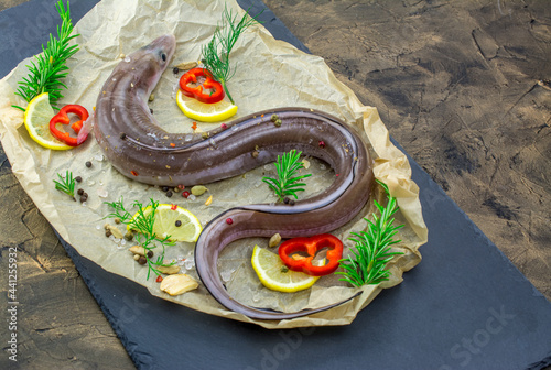 Uncooked eel fish, conger,parsley, salt and lemon - ingredients for cooking photo