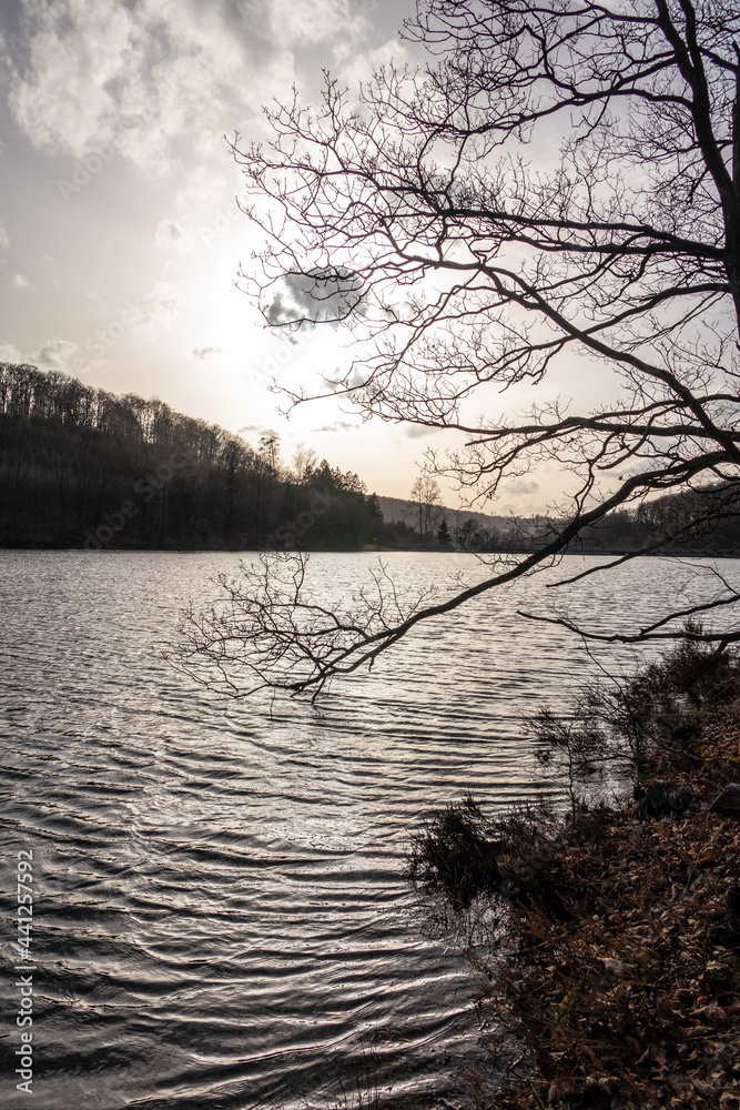 Lake  Jubachtalsperre  in forest in winter in Sauerland, Germany