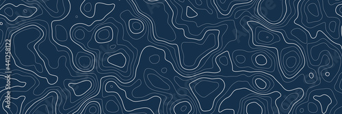 Stylized topographic contour map. Geographic line mountain relief. Abstract lines or wavy backdrop background. Cartography, topology, or terrain path concept. Vector illustration with editable stroke