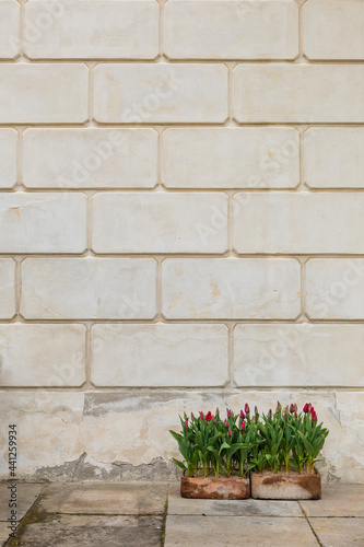 Yellow brick wall and flowers background good for background