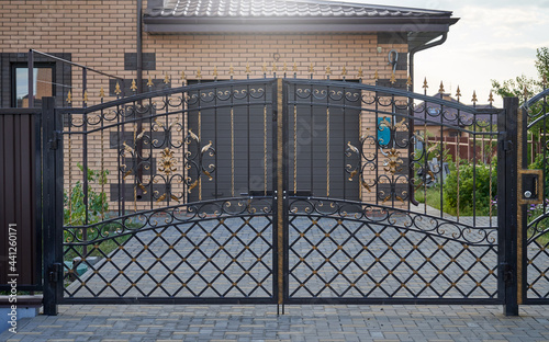 Fényképezés Transparent metal forged gates in front of the entrance to the garage