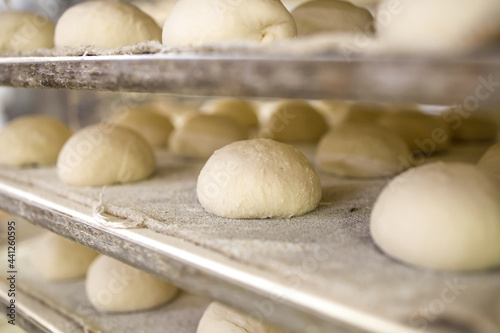 Buns ready to be baked. Concept of baked goods at industrial level