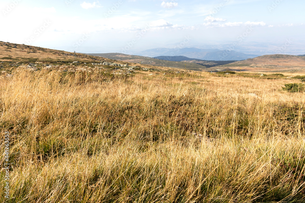 Amazing Autumn Landscape Vitosha Mountain, Bulgaria Amazing Autumn Landscape Vitosha Mountain, Bulgaria