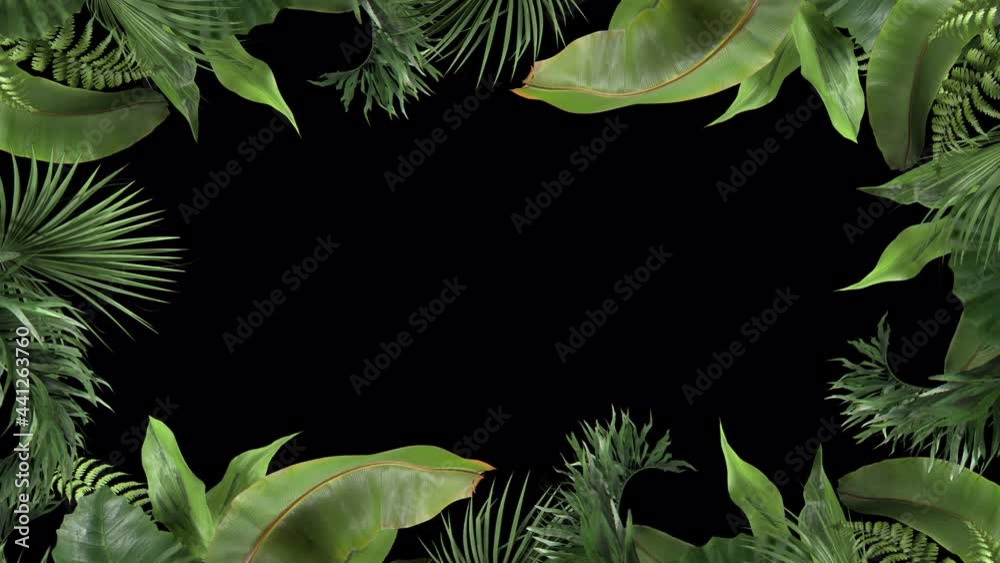 frame from tropical plants moving in the wind in a loop animation with alpha channel