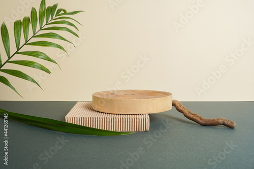 Wallpaper Mural Mock up for exhibitions, presentation of products, therapy, relaxation. Round wooden saw cut shape, green leaves, dry tree twig on light background. Minimal mockup background for product presentation. Torontodigital.ca