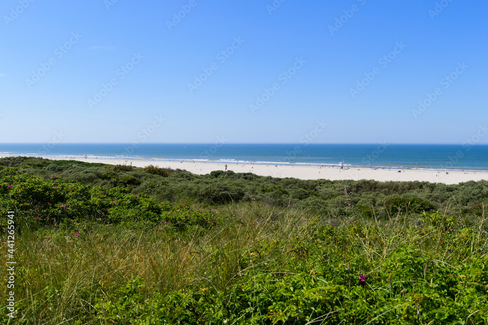 Blick über die Dünen auf die Nordsee