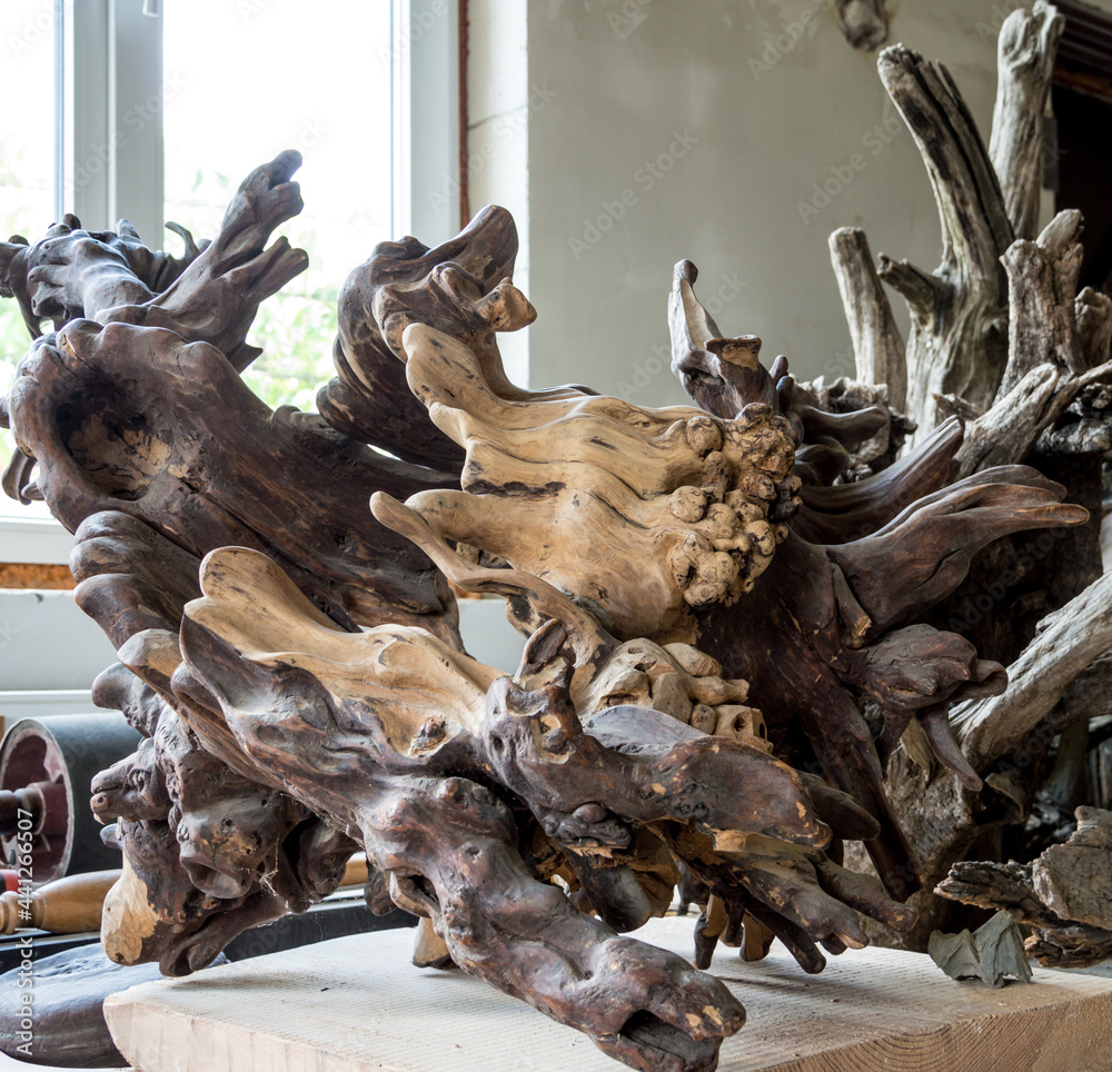 Processing of tree roots for landscape designs. Processing of tree roots for landscape designs.
