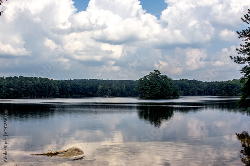 lake in the park