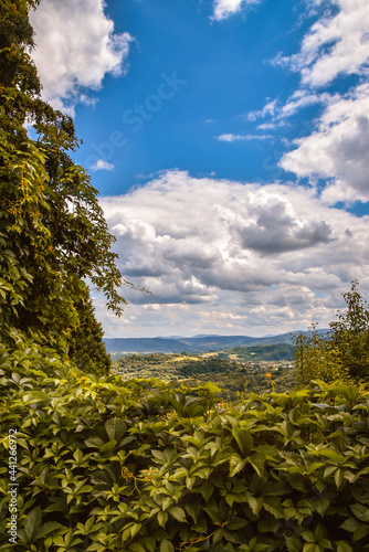 View on Beskidy Mountains through fence covered by vine  ivy  against cloudy sky