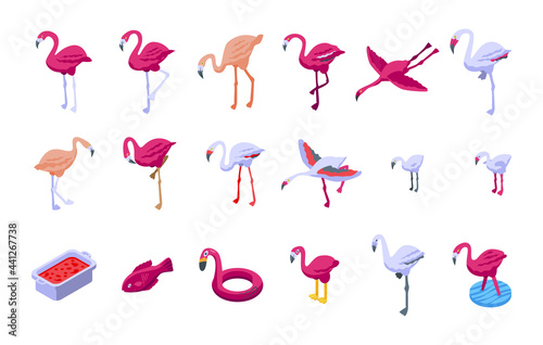 Flamingo icons set. Isometric set of flamingo vector icons for web design isolated on white background © ylivdesign