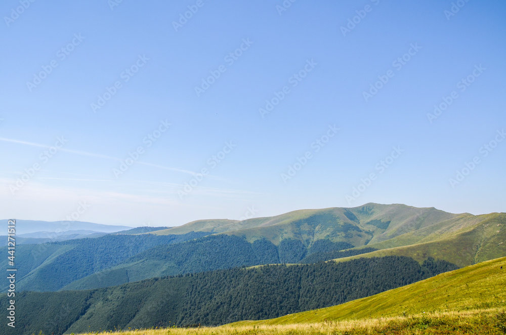 Carpathian landscapes and panoramic views of grassy mountain ridge of Borzhava meadow in sunny summer day