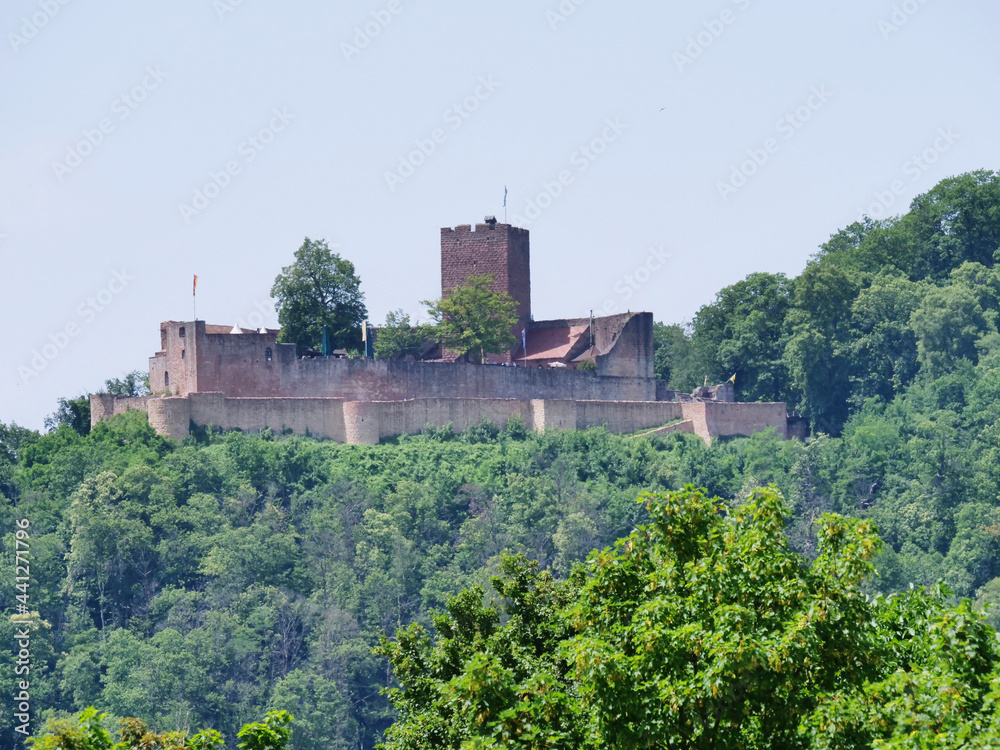 castle view amidst a forest against blue sky