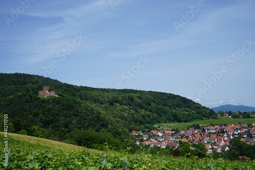 village of Klingenmuenster at the foot of a mountain