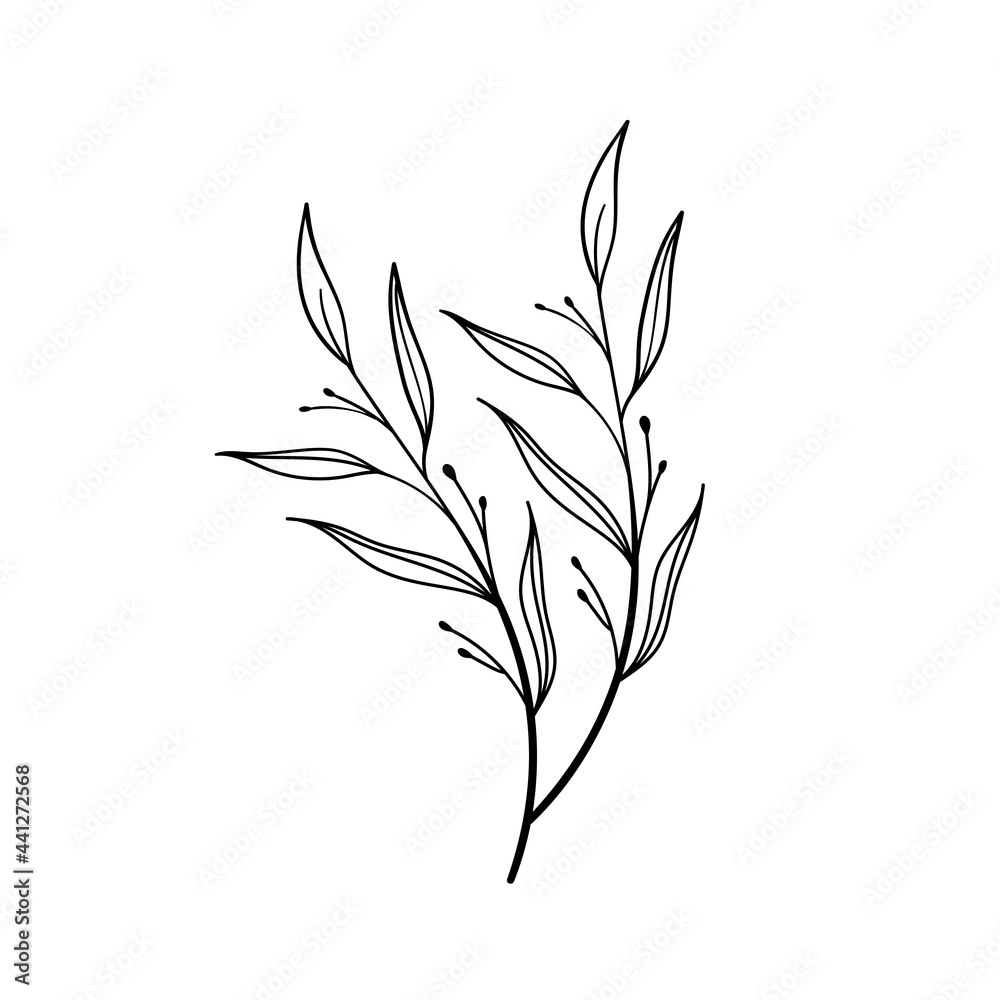 flowers in doodle style. Vector hand drawn black line design elements. botanical illustrations.	