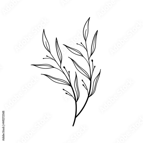flowers in doodle style. Vector hand drawn black line design elements. botanical illustrations. 