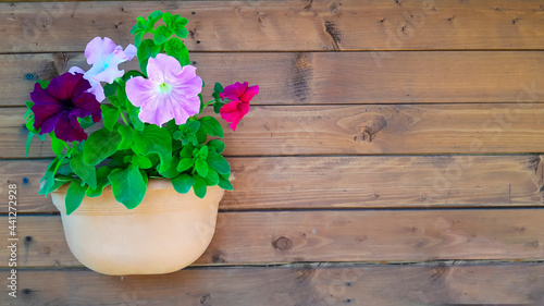The villa. A brown pot with colorful petunias hangs on the plank wall.