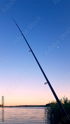 The silhouette of a fishing rod against the background of the gradient of the evening cloudless sky.Summer evening on the lake shore.Leisure.Reeds and the surface of the water. The moon is in the sky. © Irina