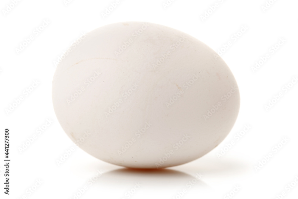 egg isolated on white background