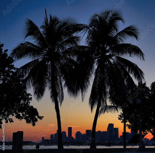 sunset in the city contrast palms tropical horizon Miami Florida usa vacation travel island sky orange beautiful  © Alberto GV PHOTOGRAP