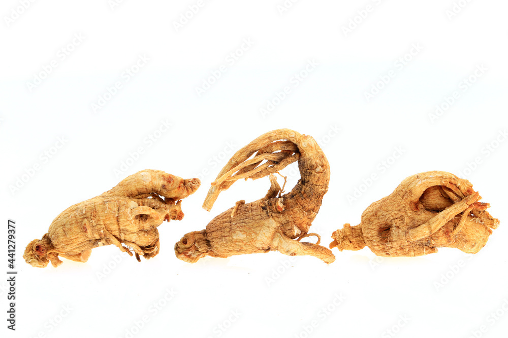 Ginseng on a white background