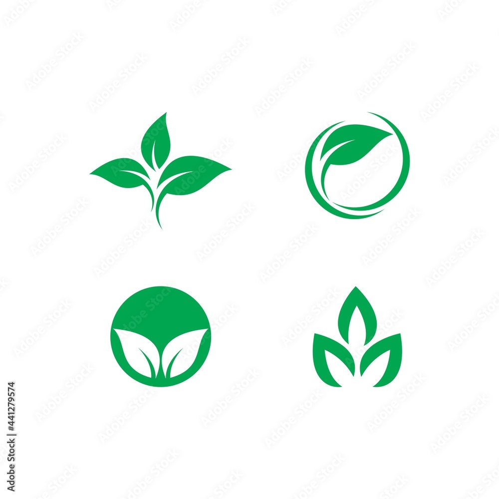 green leaf illustration green leaf illustration