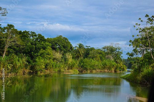 Tropical forest and its river in Costa Rica 