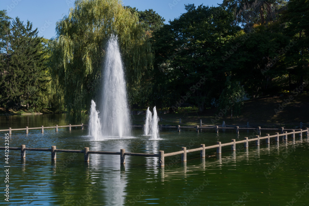 夏の緑の都市公園の噴水
