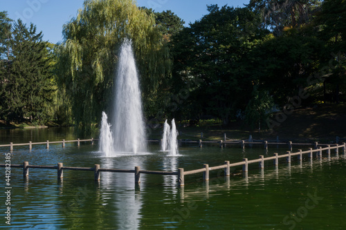 夏の緑の都市公園の噴水 