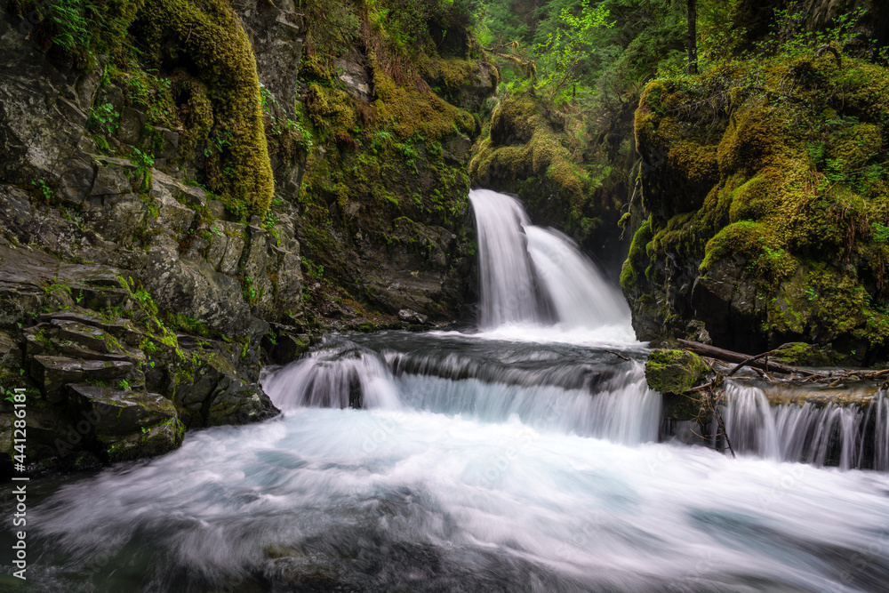 Obraz premium Waterfall in Temperate Rainforest