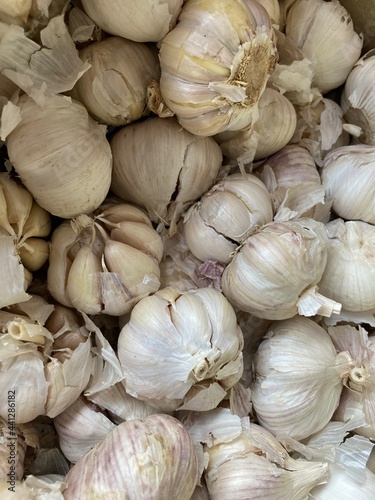 close up garlic in market