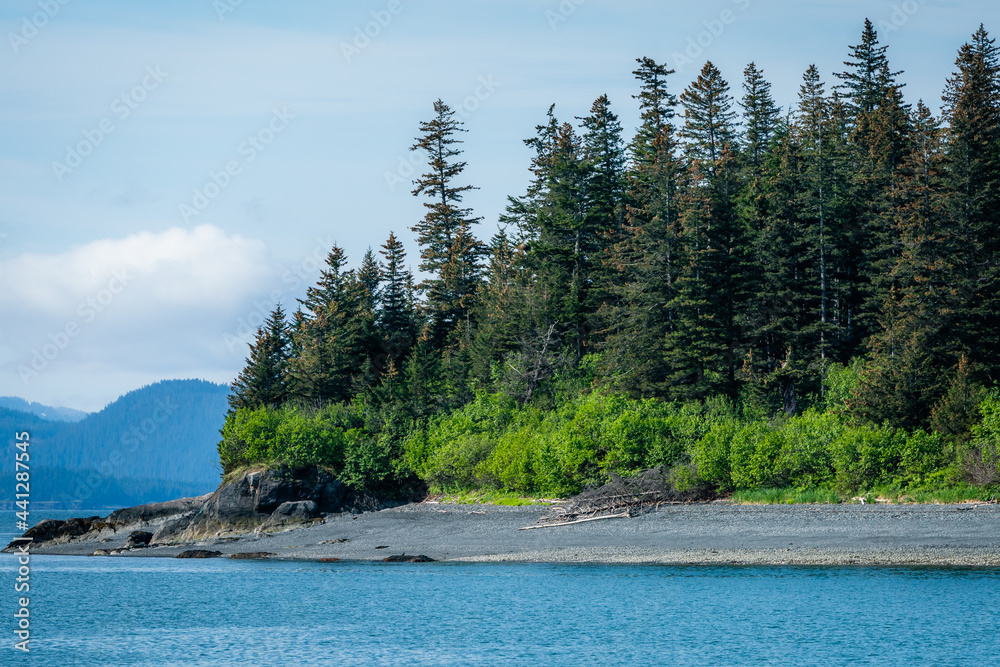 Beautiful shoreline in Alaska Beautiful shoreline in Alaska