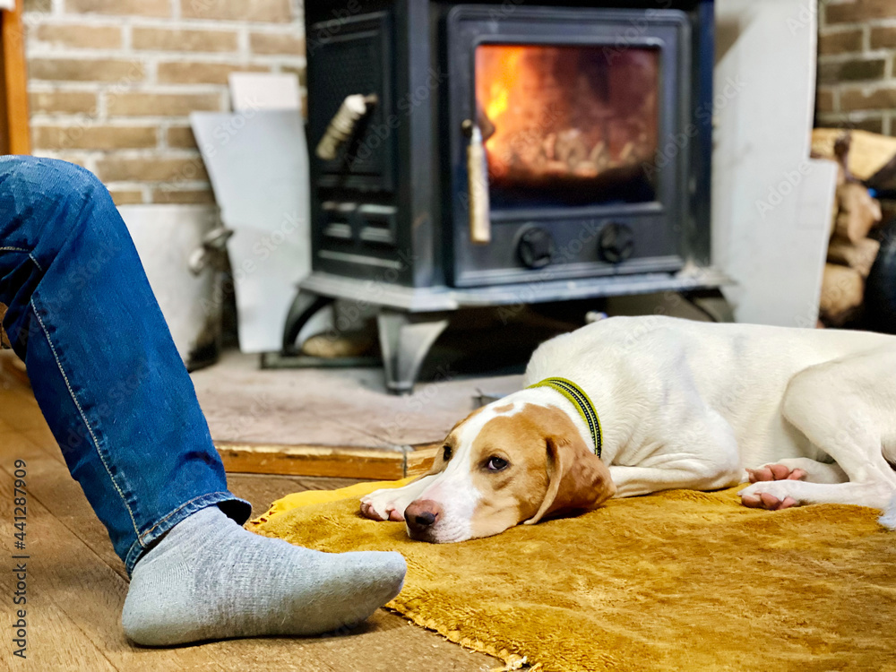 薪ストーブの前でくつろぐ人の足と寝転ぶ犬 Stock Photo Adobe Stock