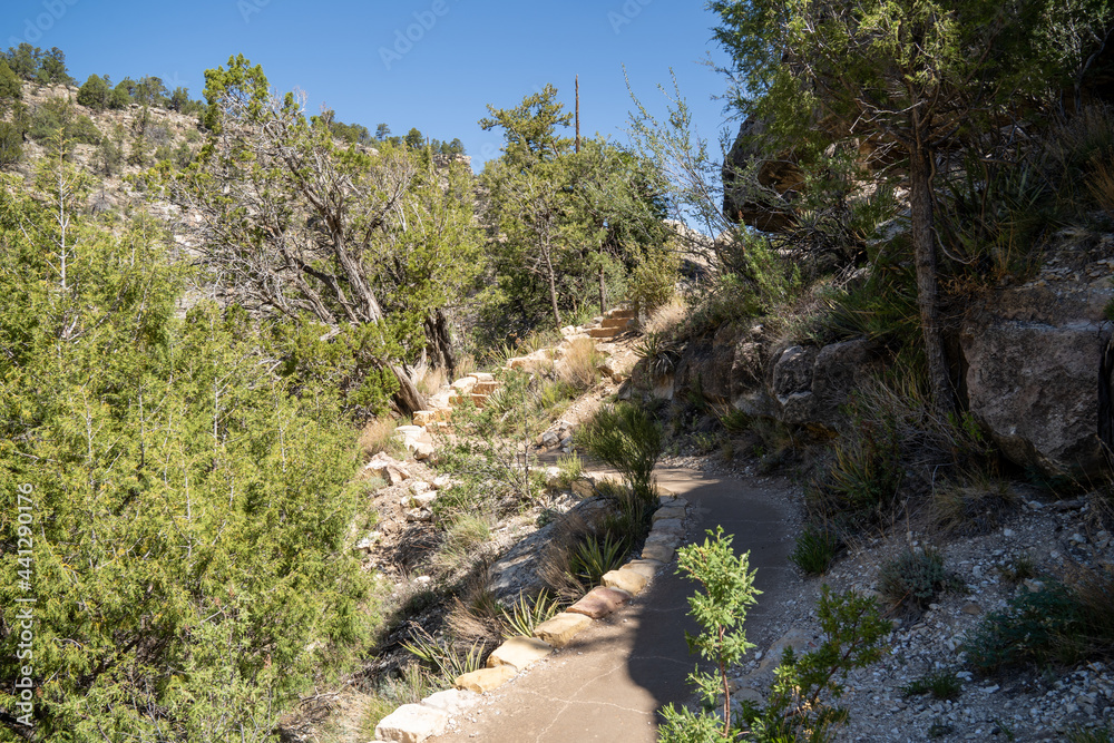 Paved hiking trail along the Island Trail in Walnut Canyon National Monument