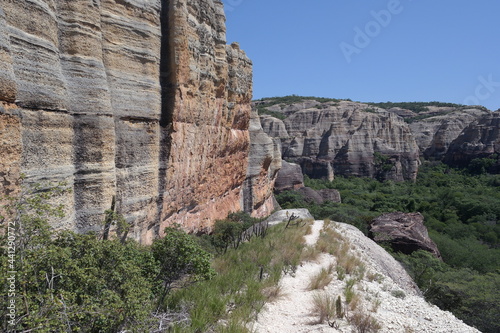 caatinga _ Brasil
