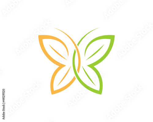 Flying butterfly from nature leaves
